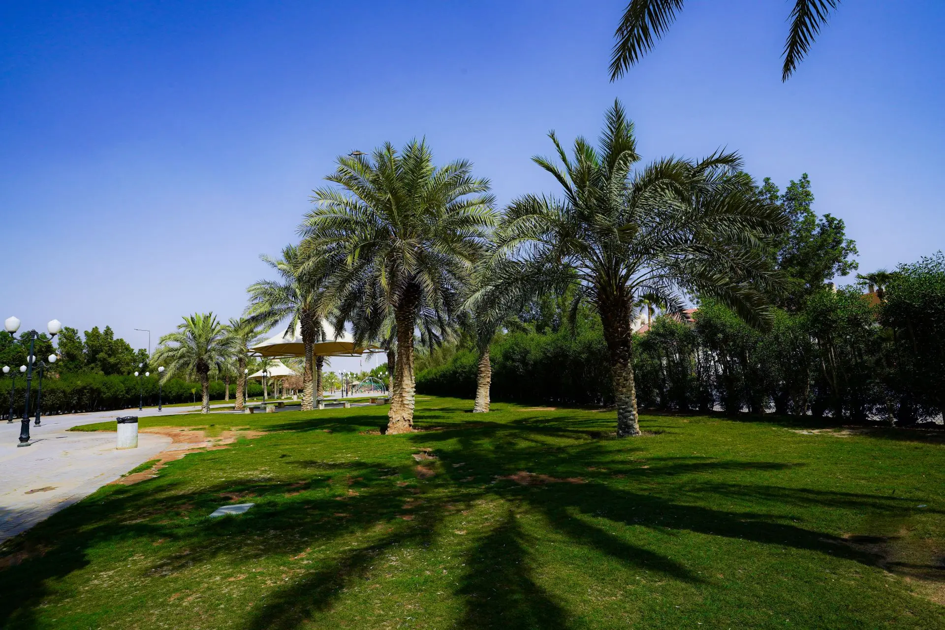 Attraction - Alwaha Park - Hero.png